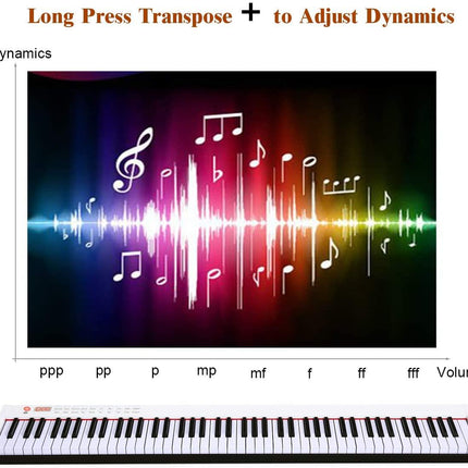 BX-II 88-Key Portable Touch Sensitive Digital Piano - costzon
