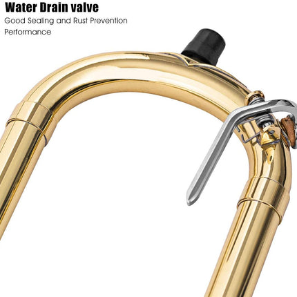 Costzon B Flat Tenor Slide Trombone Brass, Sound for Standard Student Beginner - costzon