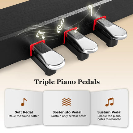Costzon 88 Key Weighted Keyboard Digital Piano Hammer Action Electric Piano with Furniture Stand, Record and Replay